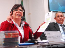 A presidente Stela Farias - observada de soslaio pelo relator Coffy Rodrigues: relação complicada 